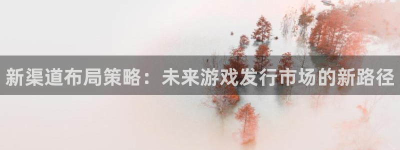 杏耀电子商务怎么样：新渠道布局策略：未来游戏发行市场的新路径