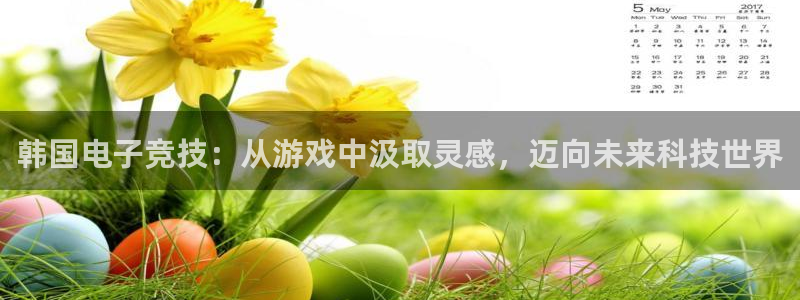 杏耀仓储中心：韩国电子竞技：从游戏中汲取灵感，迈向未来科技世界