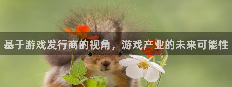 杏耀校服：基于游戏发行商的视角，游戏产业的未来可能性