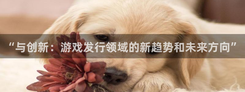 杏耀子经理人：“与创新：游戏发行领域的新趋势和未来方向”