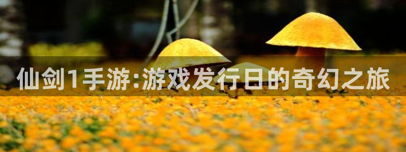 杏耀电子商务有限公司电话：仙剑1手游:游戏发行日的奇幻之旅
