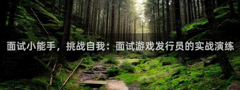 杏耀官网登录注册不了怎么办：面试小能手，挑战自我：面试游戏发行员的实战演练