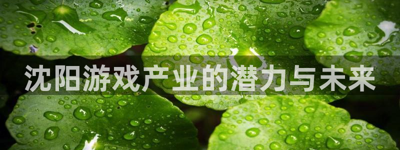 杏耀子酒业：沈阳游戏产业的潜力与未来