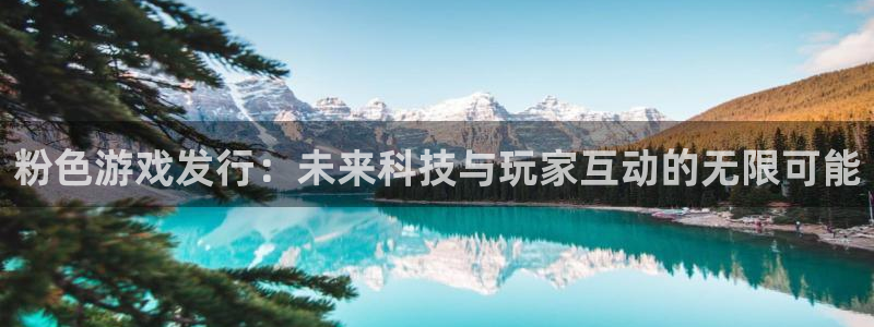 杏耀子招聘：粉色游戏发行：未来科技与玩家互动的无限可能