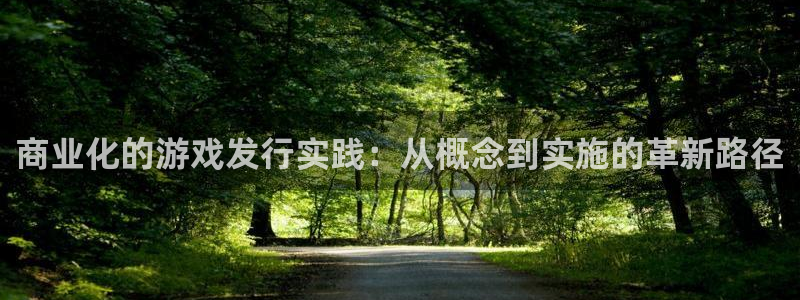 杏耀官网客服怎么样：商业化的游戏发行实践：从概念到实施的革新路径