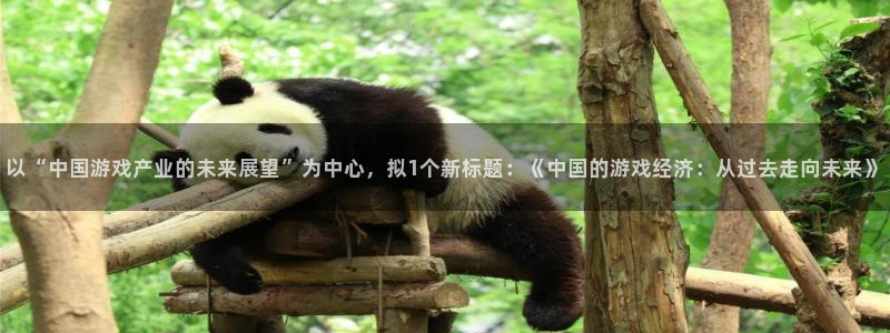 杏耀官网注册平台怎么注册的：以“中国游戏产业的未来展望”为中心，拟1个新标题：《中国的游戏经济：从过去走向未来》