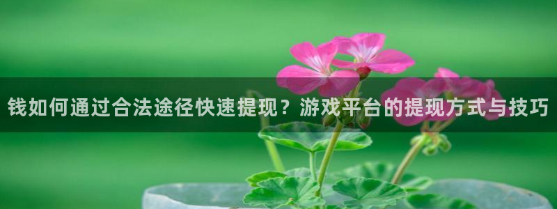杏耀啤酒多少钱一箱：钱如何通过合法途径快速提现？游戏平台的提现方式与技巧