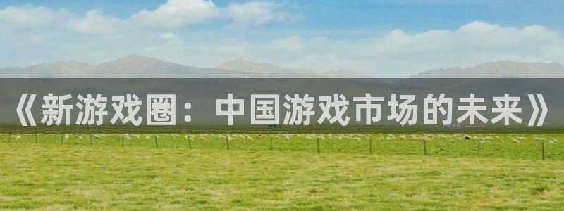 杏耀集团
