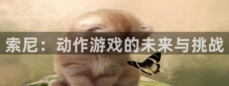 杏耀官网注册地址在哪里啊：索尼：动作游戏的未来与挑战