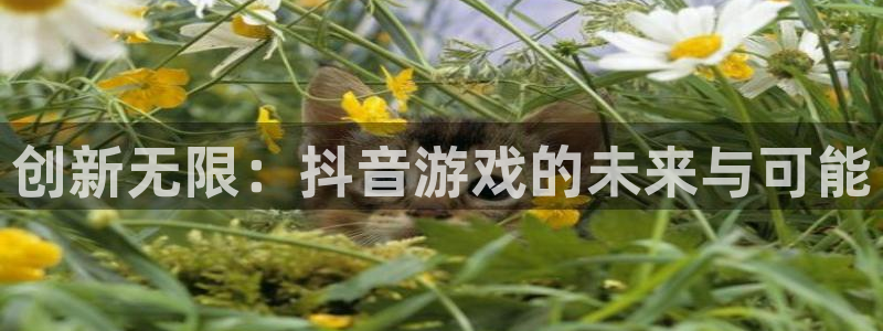 杏耀官网注册地址查询：创新无限：抖音游戏的未来与可能