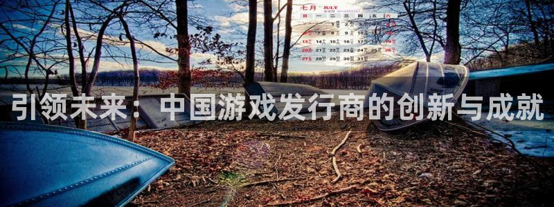杏耀lvnces官网：引领未来：中国游戏发行商的创新与成就
