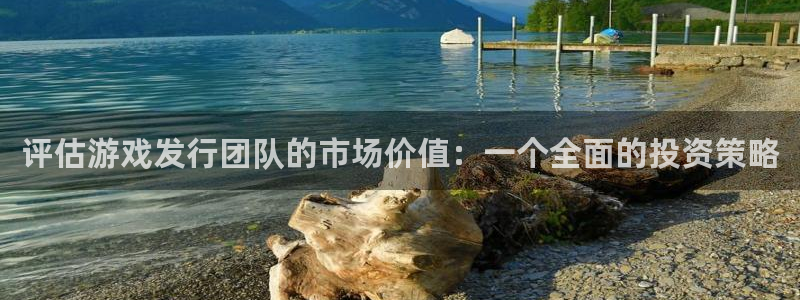 杏耀集团是什么企业：评估游戏发行团队的市场价值：一个全面的投资策略