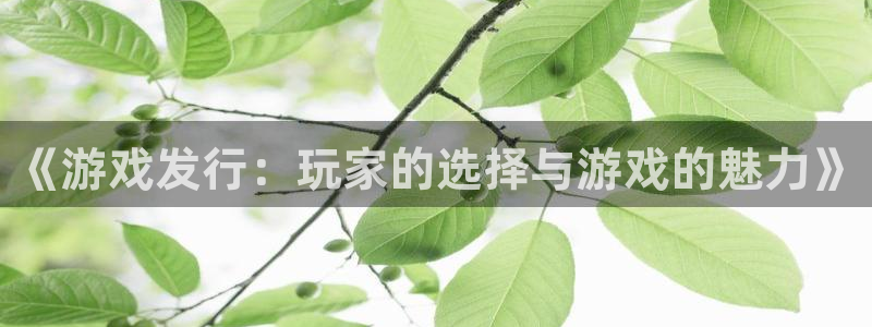 杏耀子猫图片：《游戏发行：玩家的选择与游戏的魅力》