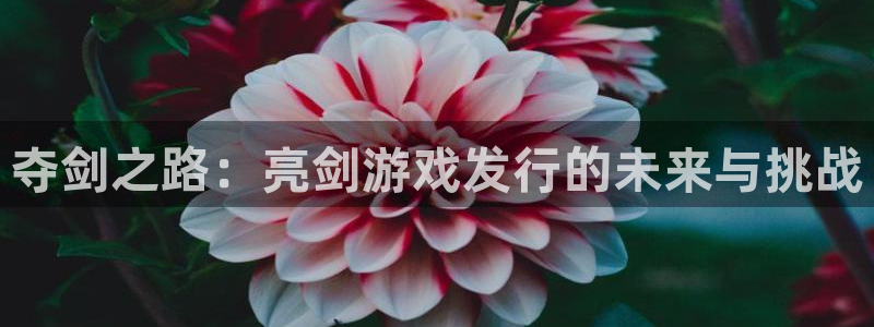 杏耀子经理人一共出了多少本：夺剑之路：亮剑游戏发行的未来与挑战