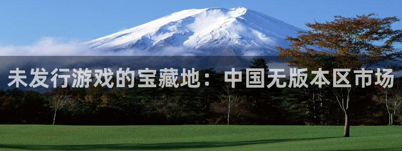 杏耀官网注册平台怎么样：未发行游戏的宝藏地：中国无版本区市场