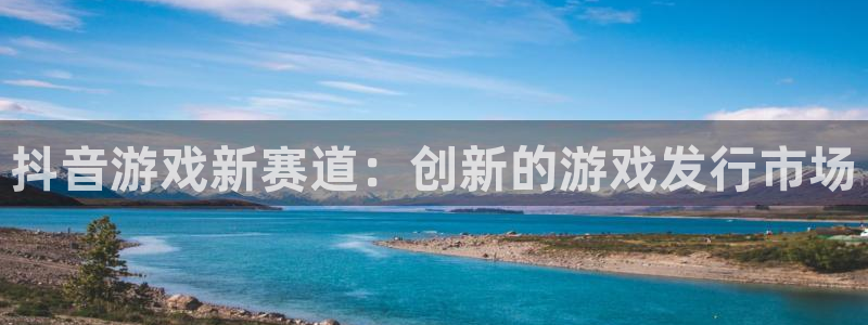 广东杏耀电商bruno