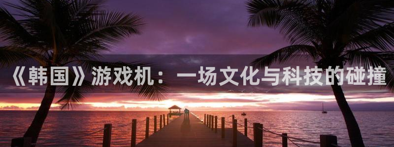 广州杏耀投资管理顾问有限公司：《韩国》游戏机：一场文化与科技的碰撞