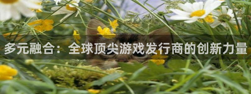 杏耀电子商务有限公司怎么样：多元融合：全球顶尖游戏发行商的创新力量