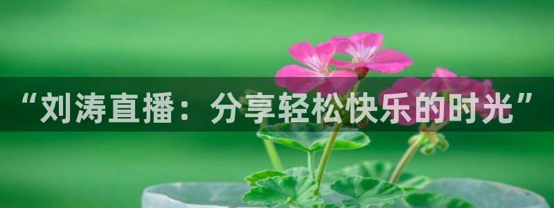 nba直播龙门：“刘涛直播：分享轻松快乐的时光”