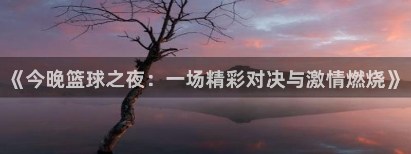 龙门nba直播：《今晚篮球之夜：一场精彩对决与激情燃烧》