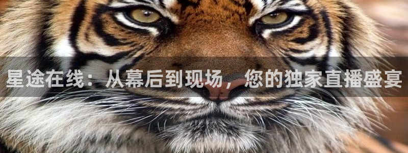 jrs直播低调看直播nba直播 龙门直播：星途在线：从幕后到现场，您的独家直播盛宴