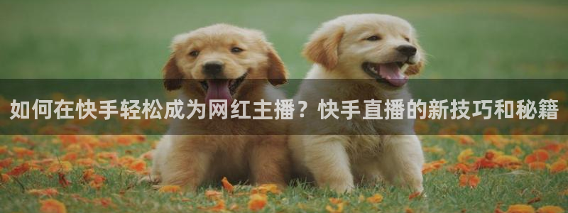 中超龙门直播：如何在快手轻松成为网红主播？快手直播的新技巧和秘籍