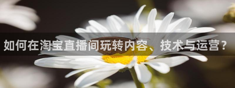 龙门直播足球：如何在淘宝直播间玩转内容、技术与运营？
