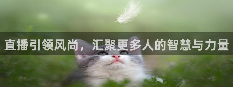 龙门直播下载：直播引领风尚，汇聚更多人的智慧与力量