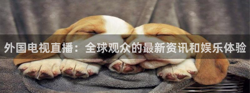 龙门体育频道在线直播：外国电视直播：全球观众的最新资讯和娱乐体验